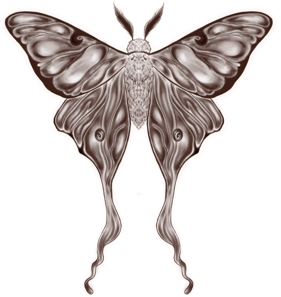 en brun farvede illustration af en lunar moth, i en alternativ stil, med stippled shading, og en sticker ligende bagrund